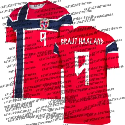 Norway Team Haaland Soccer Jersey
